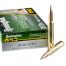20 Rounds of 30-06 Springfield Ammo by Remington Core-Lokt Tipped - 180gr Polymer Tipped
